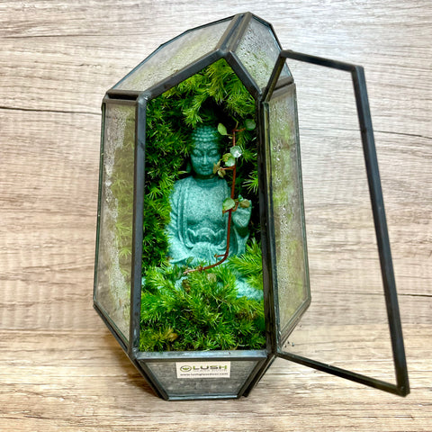NEW! Temple of Tranquility Moss in Diamond Shape Geometric Terrarium Buddha Theme