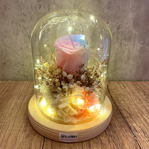 Radiant Eternal Rainbow Rose Preserved Flower Glass Dome (Fairy Light)