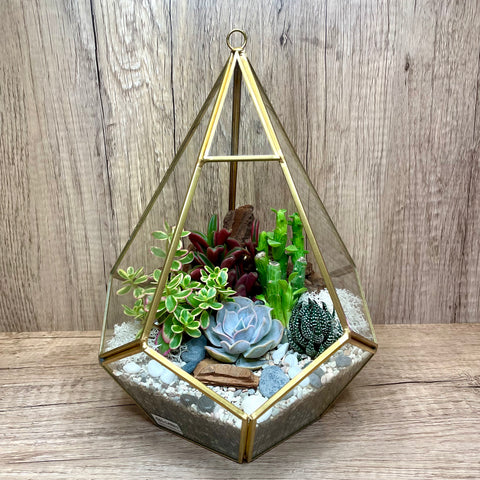 succulent terrarium geometric Dionne Succulent Arrangement in Golden Teardrop Geometric Terrarium (XL) Created by Lush Glass Door, Singapore's Terrarium One Stop Online Shop