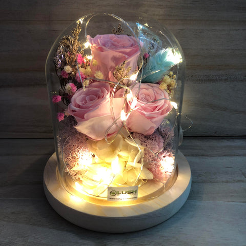 Vanessa Eternal Rose Preserved Flower Glass Dome (Fairy Light)