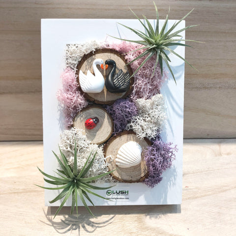 large air plant frame Cruz Eternal Airplant/ Moss 3D Wall/ Desk Frame Created by Lush Glass Door, Singapore's Terrarium One Stop Online Shop