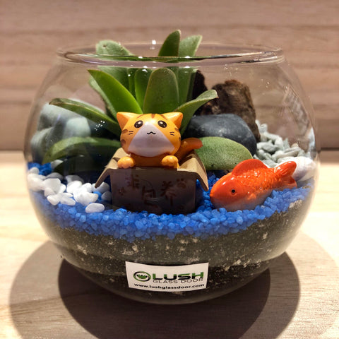Customized Finnian Succulent Terrarium in Small Round Bowl by Lush Glass Door Singapore