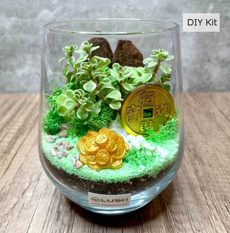 CNY Succulent Terrarium DIY Kit