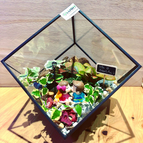Customized Magical Garden Themed Tropical Fittonias & Ivy Square Geometric Terrarium by Lush Glass Door Singapore