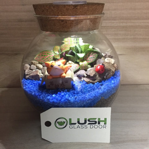Customized Cat in the Box Themed Fittonia Terrarium with Light by Lush Glass Door Singapore