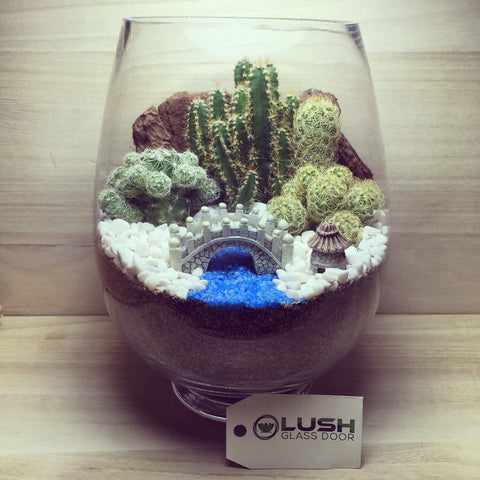 Customized By the River Scenic Succulents Terrarium by Lush Glass Door Singapore