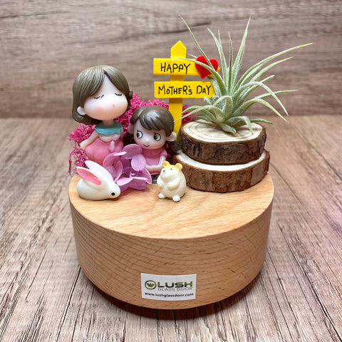 Mother's Day Airplant Music Box