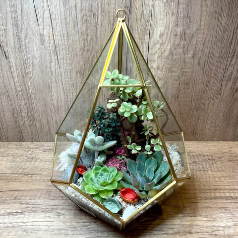 Roosevelt Succulent Arrangement in Golden Teardrop Geometric Terrarium (XL)
