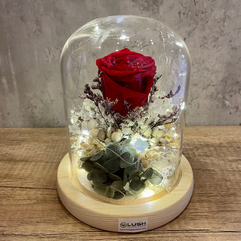 One & Only Eternal Rose Preserved Flower Glass Dome (Fairy Light)