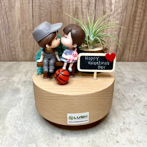 Show Your Love Airplant Music Box