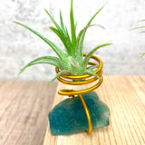 Boho Crystal Stone Airplant Holder with Airplant