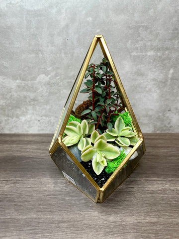 gold geometric succulent terrarium Customized Eloise Succulents Arrangement in Teardrop Geometric Terrarium by Lush Glass Door Singapore Created by Lush Glass Door, Singapore's Terrarium One Stop Online Shop