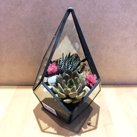 aldi succulent terrarium Succulent Plant Arrangement in Teardrop Geometric Terrarium for Corporate Gift, Singapore's Terrarium One Stop Online Shop – Lush Glass Door
