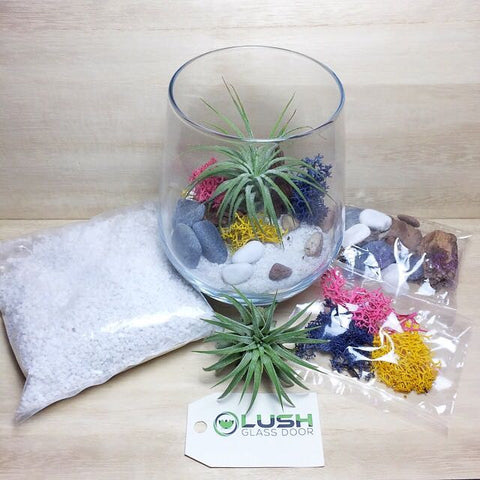 Terrarium DIY Kits