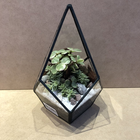 geometrical terrarium