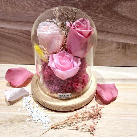 Exquisite Eternal Rose Preserved Flower