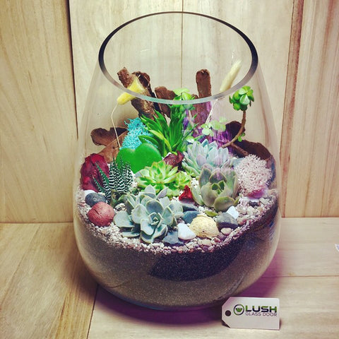 Premium Terrariums