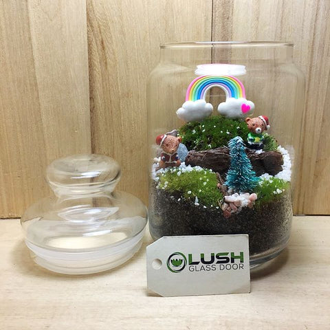 Moss Terrarium