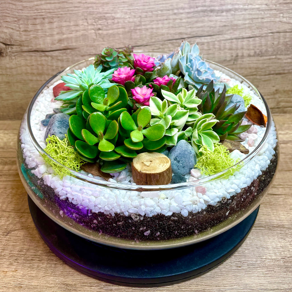 succulent terrarium centerpiece The Perfect Story Holland Moss Terrarium Created by Lush Glass Door, Singapore's Terrarium One Stop Online Shop
