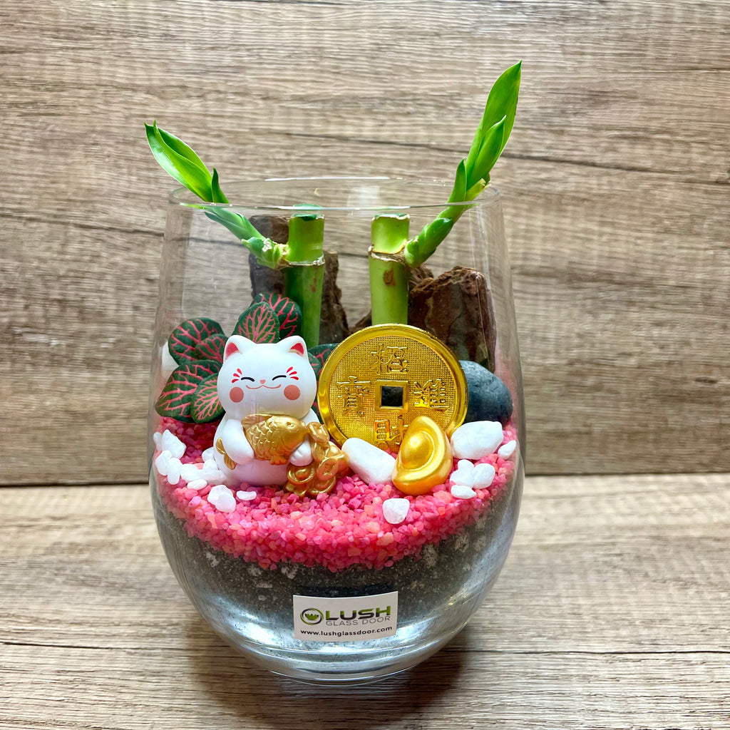 lucky bamboo in terrarium Ellie Auspicious Lucky Bamboo Terrarium Created by Lush Glass Door, Singapore's Terrarium One Stop Online Shop