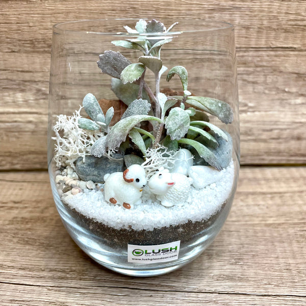 Winter Wool Christmas Succulent Terrarium