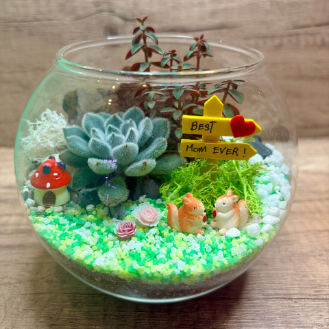 Mother's Day ~ My Mom, My Forever Hero Succulent Bowl Terrarium