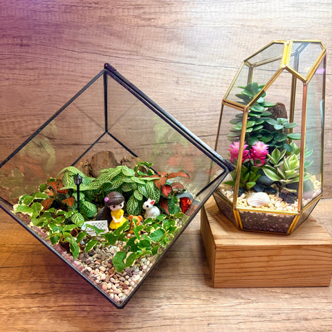 *SAVE 40%! LIMITED SETS! 2026 Mother's Day Special ~ 2 Pax Fun & Therapeutic Geometric Terrarium Workshop Package