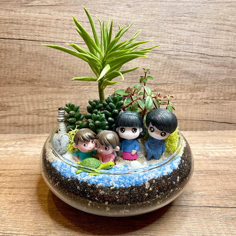 Family Beach Vibes Succulents Arrangement Mid Range Terrarium