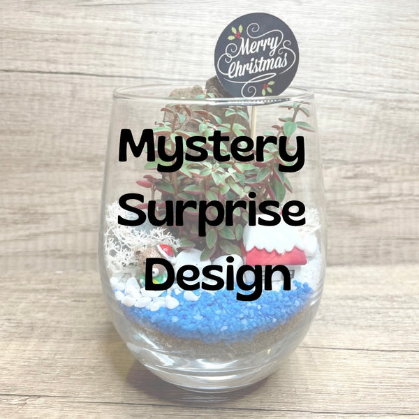 Christmas Succulent Terrarium Mystery Surprise