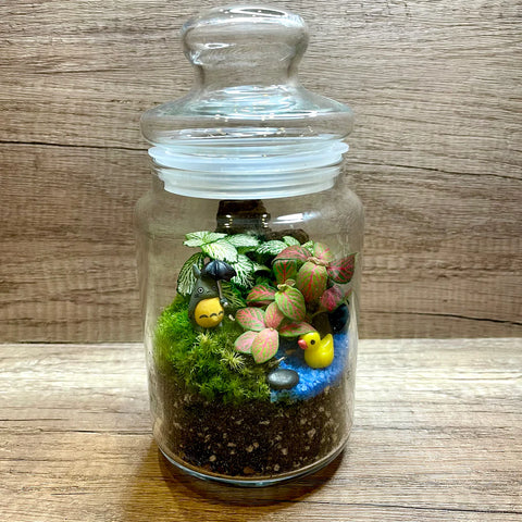 Fittonia & Moss in Closed Jar Terrarium Workshop