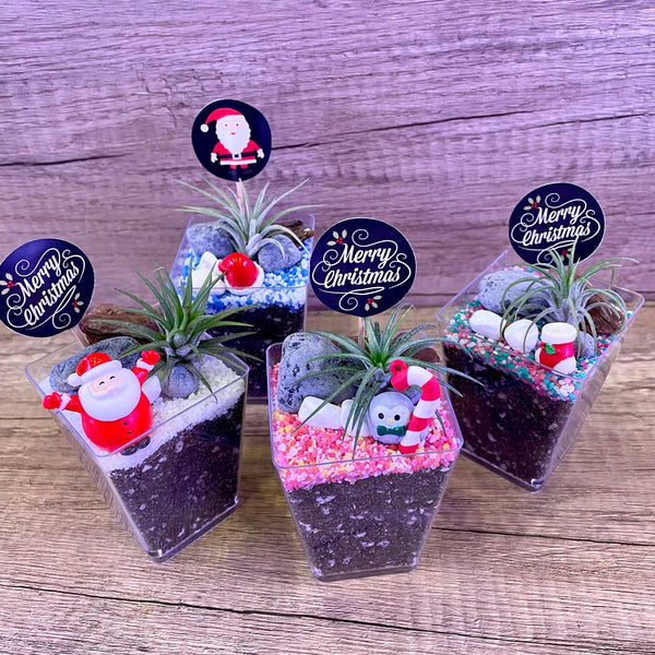 Mini Airplant with Cute Figurine in Square Pot