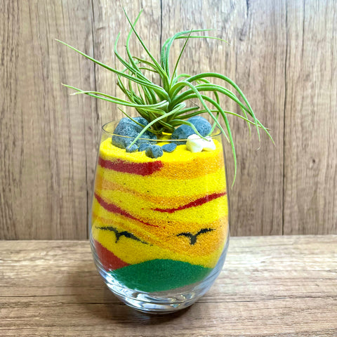 Sunrise Horizon Sand Art Airplant Terrarium
