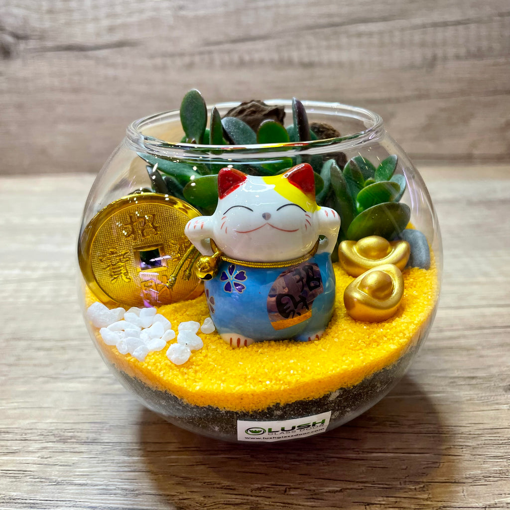 jade terrarium plant Charm Auspicious Jade Plant Terrarium Created by Lush Glass Door, Singapore's Terrarium One Stop Online Shop