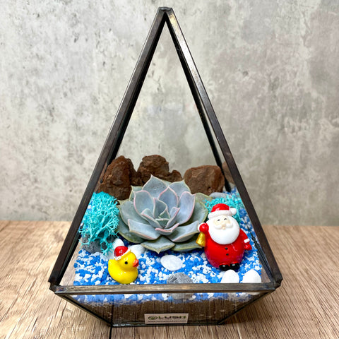 XMAS SPECIAL! BUY 1 2nd piece at 50%! Xmas Succulent Arrangement in Pyramid Geometric Terrarium