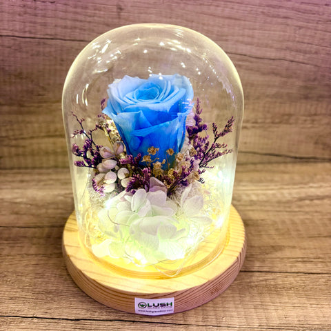 Whispering Blue Eternal Rose Preserved Flower Glass Dome (Fairy Light)