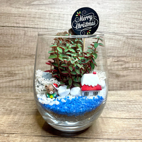 Xmas Snow Themed Succulent Terrarium