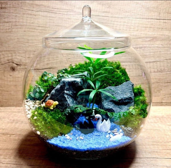 Paradise Holland Moss & Tropical Plants Bowl Terrarium (Copy)