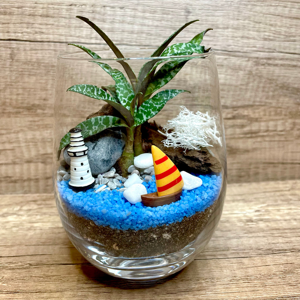 seaside succulents Seaside Themed Succulents Terrarium – Lush Glass Door