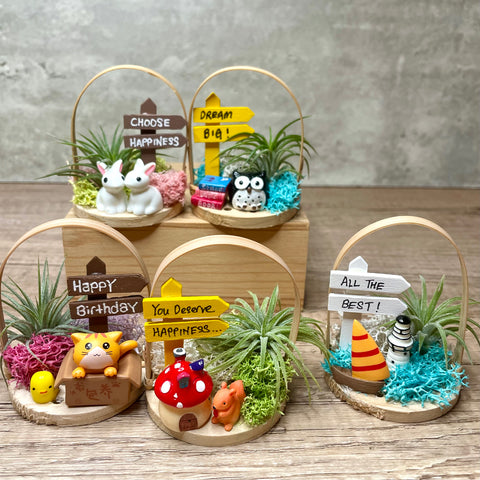 Cute Mini Airplant Basket with Figurines, Message Board & Assorted Colored Perserved Moss