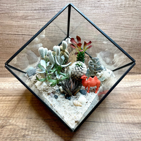 Sahara Camel Desert Themed Cactus Square Geometric Terrarium