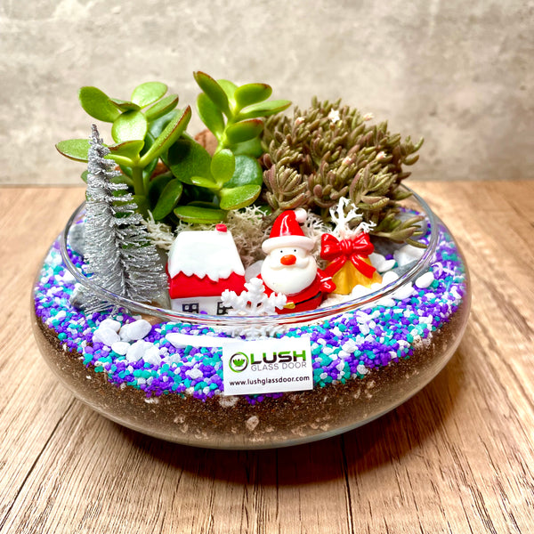 Miraculous Christmas Succulent Terrarium