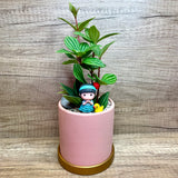 Pot Your Own Plants in Ceramic Pot Workshop (10pax)