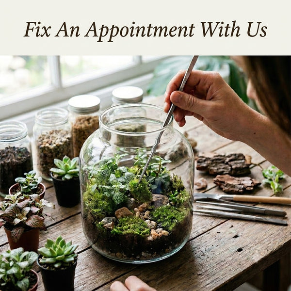 Fix An Appointment - Customization or Restoration