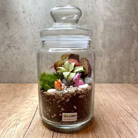 Finley Fittonia & Moss Story Jar Terrarium