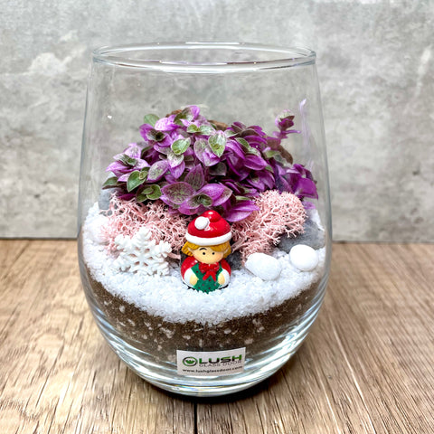 Pinkie Christmas Succulent Terrarium