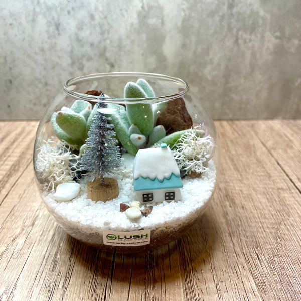 Caroling Christmas Succulent Terrarium