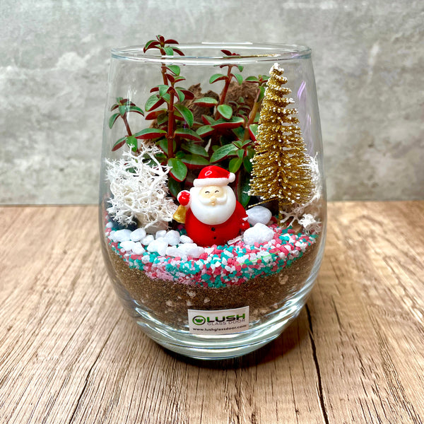 Glittery Golden Christmas Succulent Terrarium