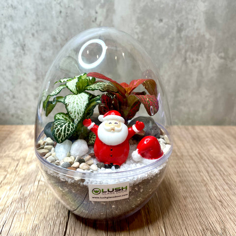 Christmas Mini Egg Shaped Terrarium (L)