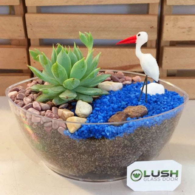 boat succulent Fun & Therapeutic Succulent Boat Party & Corporate Terrarium Workshop With Your Colleagues & Friends – Lush Glass Door