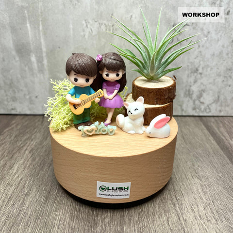 Workshop Package for Airplant Music Box